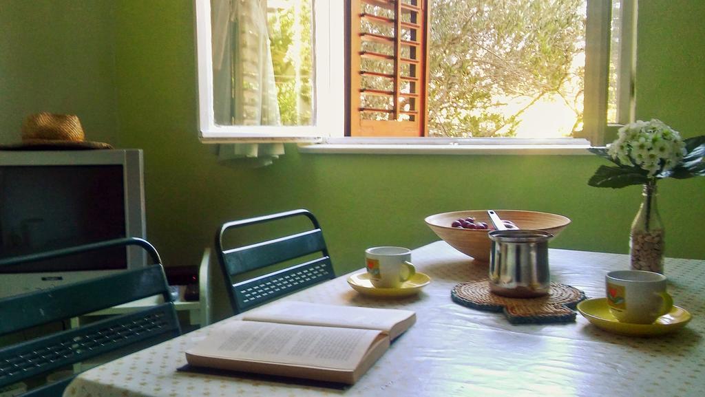 Apartmani Conar Велики Дрвеник Екстериор снимка