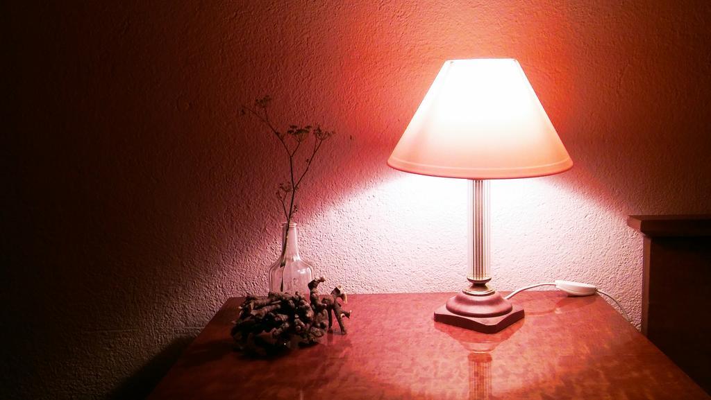 Apartmani Conar Велики Дрвеник Екстериор снимка