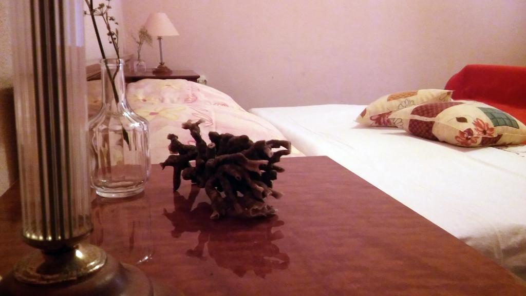 Apartmani Conar Велики Дрвеник Екстериор снимка